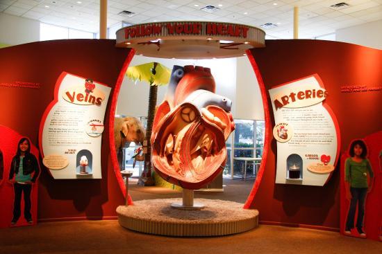 Musée pour enfants Halle Heart Children's Museum